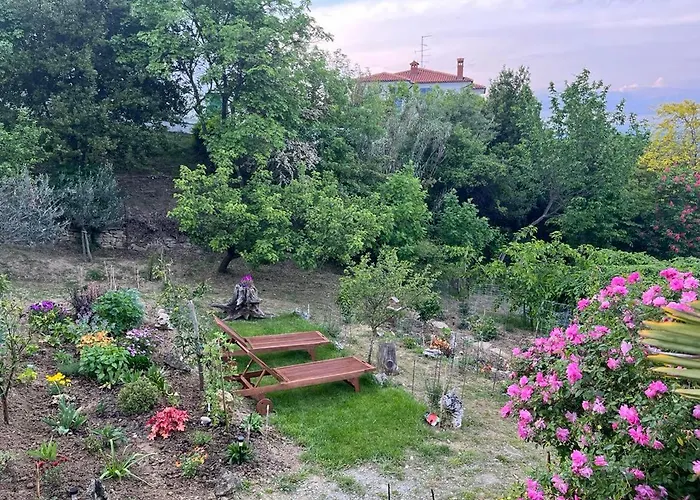 Studio Mojca