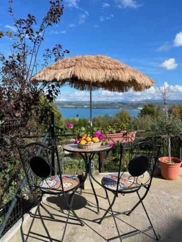 Mojca Capodistria